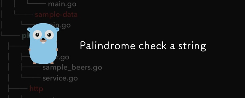 Palindrome check a string