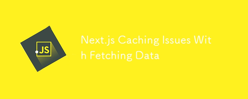 Next.js Caching Issues With Fetching Data