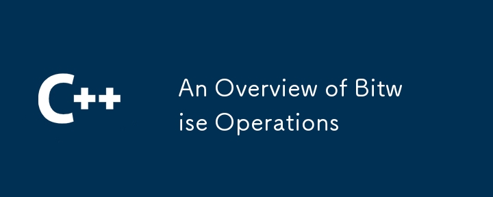 An Overview of Bitwise Operations