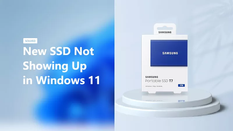 Solved SSD Not Showing Up in Windows 11