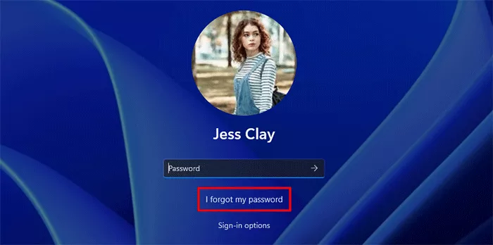  How to Reset Forgotten Windows 11 Password without Logging in