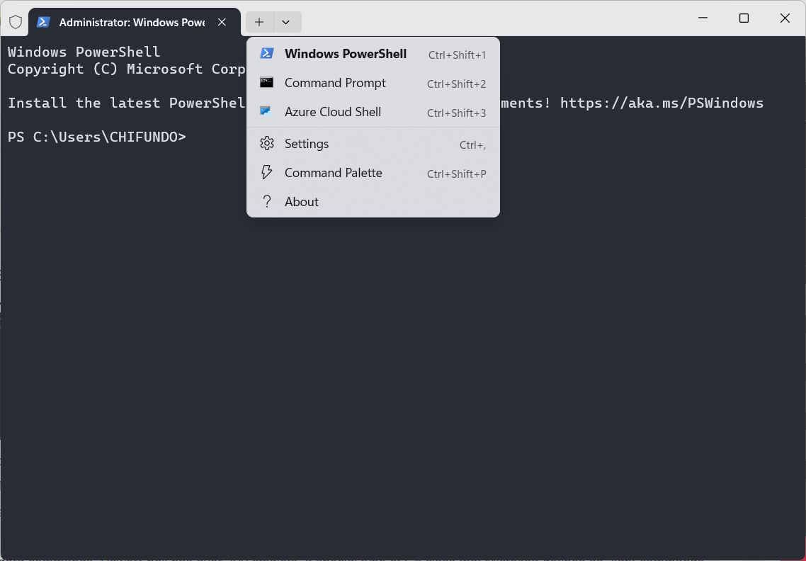 Windows Terminal vs. PowerShell: What Makes Them Different?