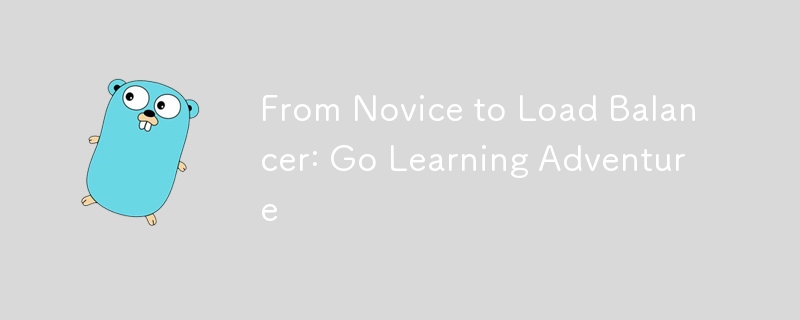 From Novice to Load Balancer: Go Learning Adventure