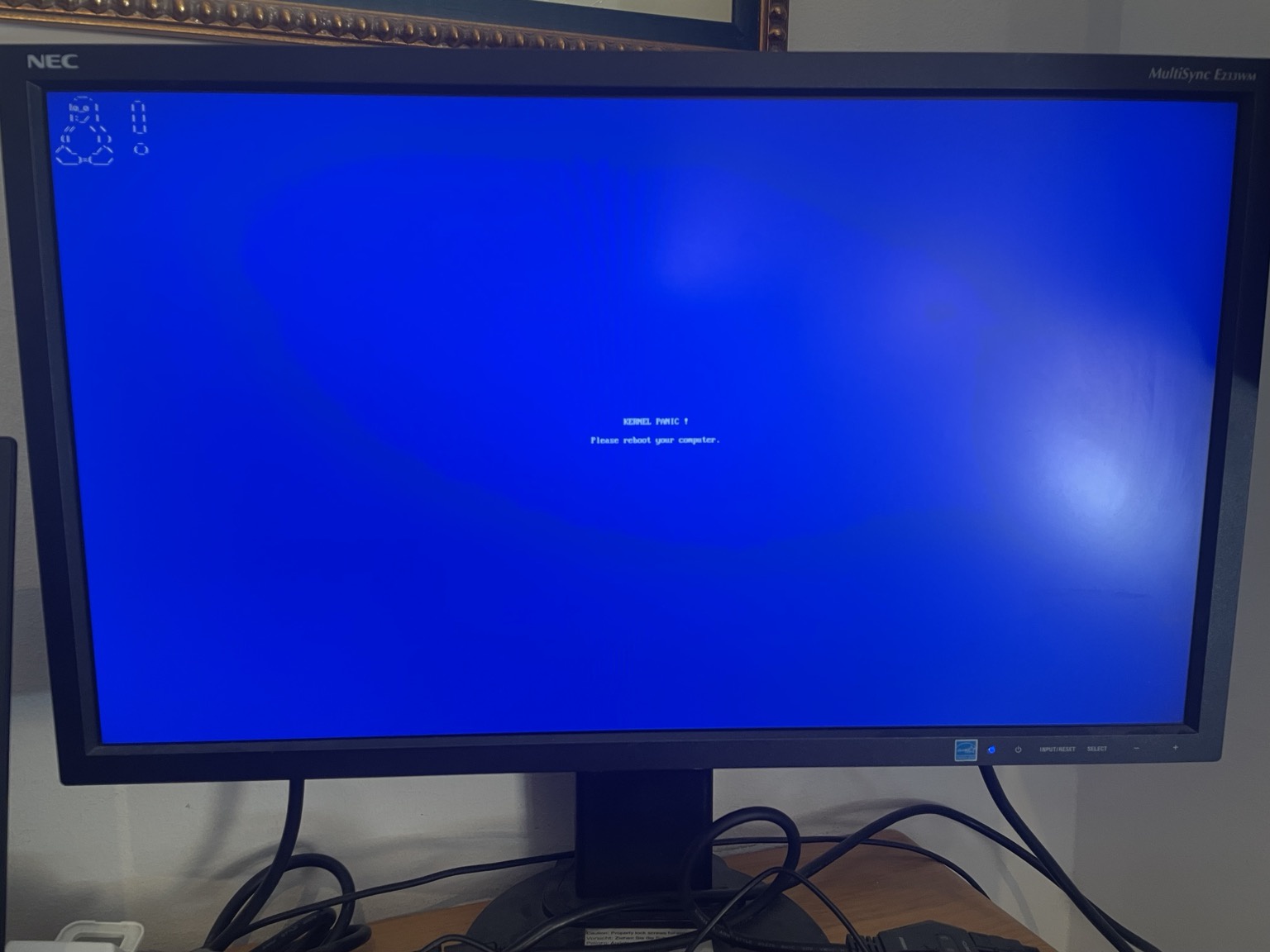 Linux is getting Blue Screen of Death for kernel panic