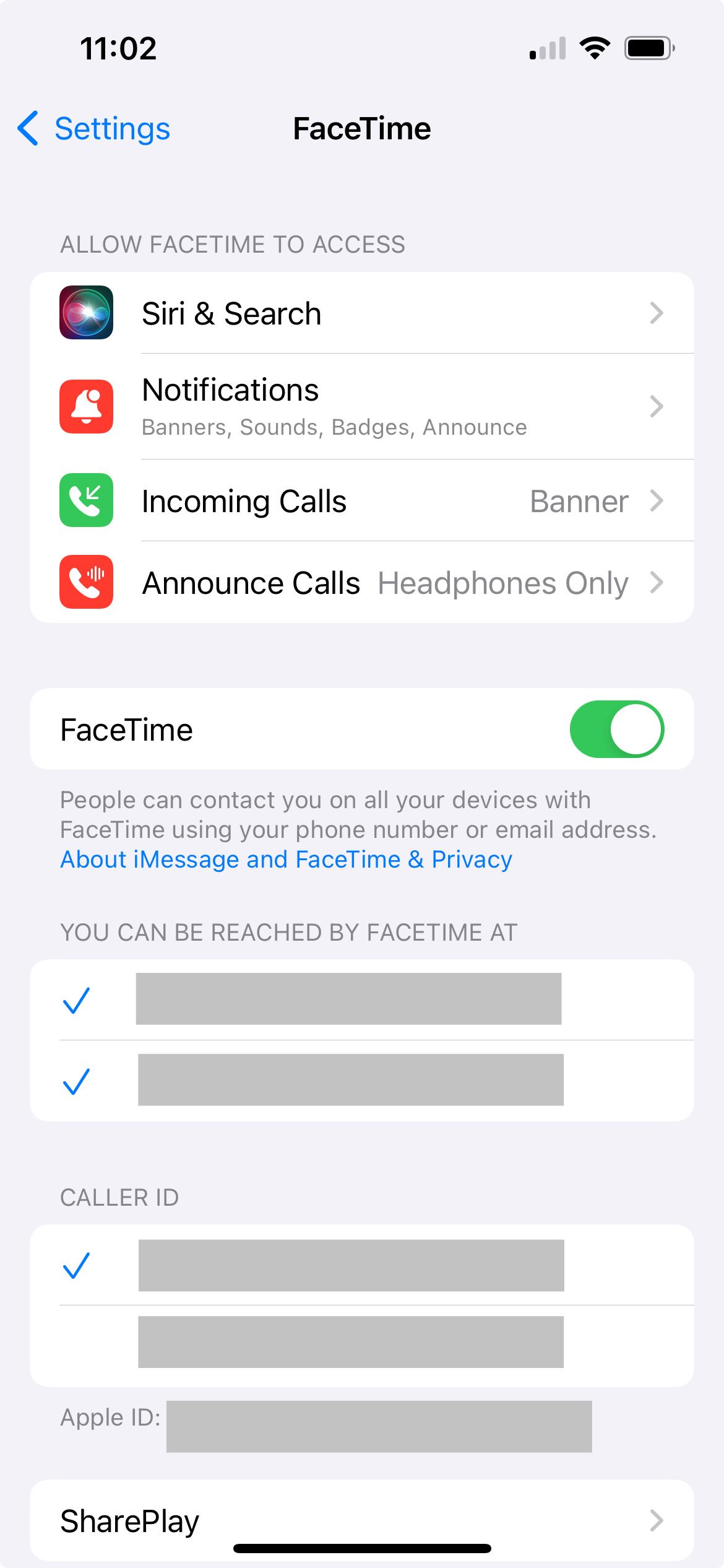 Is FaceTime Not Working? 15 Potential Fixes to Try