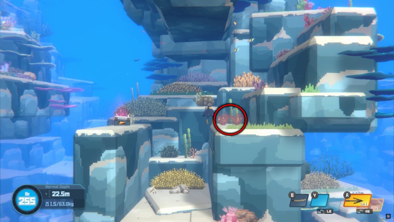 Where to find Agar in Dave the Diver