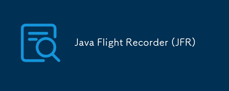 Java Flight Recorder (JFR)