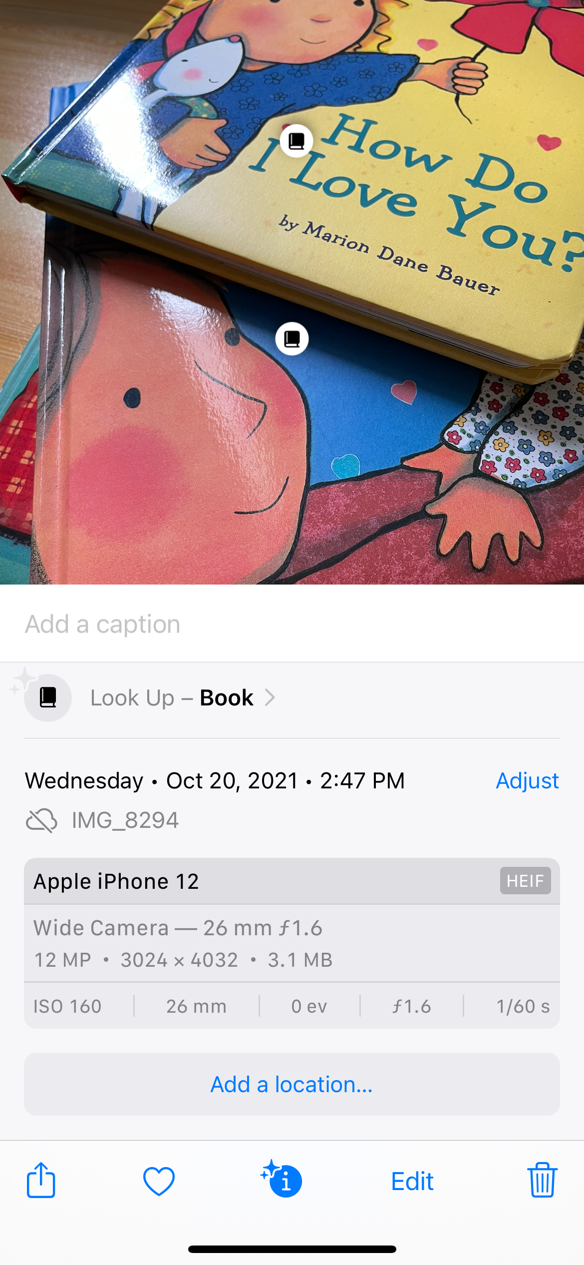 6 Reasons Visual Look Up Might Not Be Working on Your iPhone