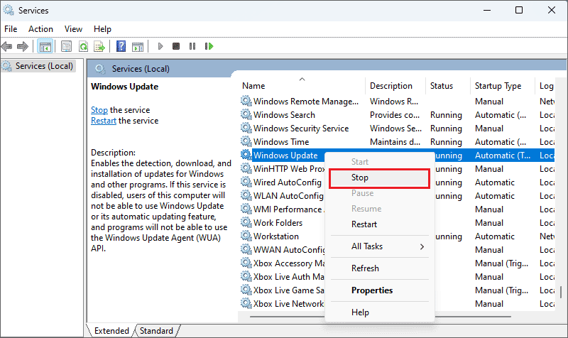 How to Fix Download Error - 0x80248007 on Windows 11?