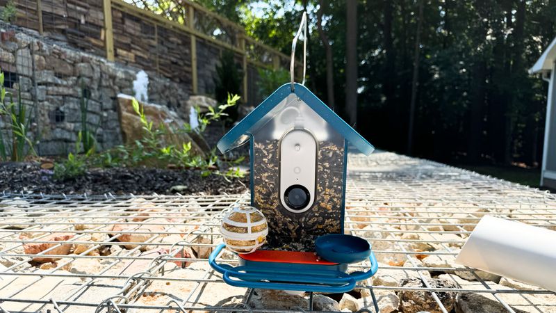 Bird Buddy is a Fun iPhone-Connected Smart Bird Feeder