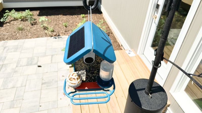 Bird Buddy is a Fun iPhone-Connected Smart Bird Feeder