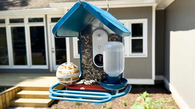 Bird Buddy is a Fun iPhone-Connected Smart Bird Feeder