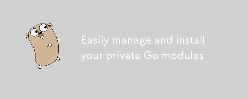 Easily manage and install your private Go modules