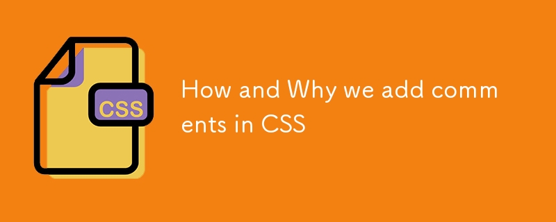 How and Why we add comments in CSS