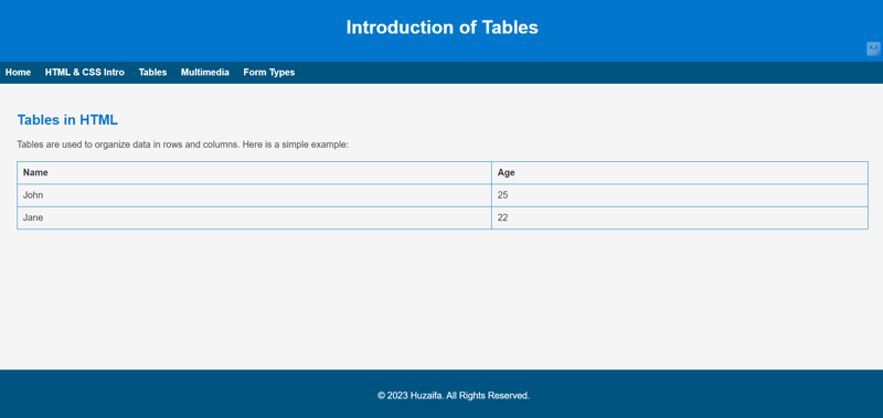 My First Web Development Project: Learning HTML and CSS