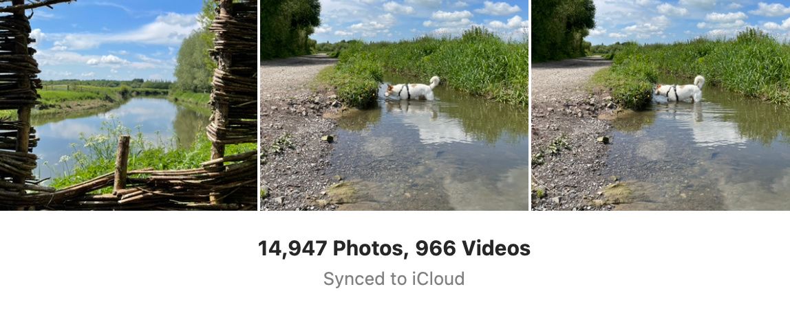 Apple\'s Deleted Photo Bug Is a Good Reminder to Enable This iCloud Feature