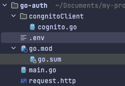 Authentication with Golang and AWS Cognito