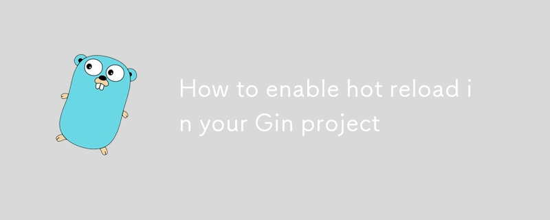 How to enable hot reload in your Gin project