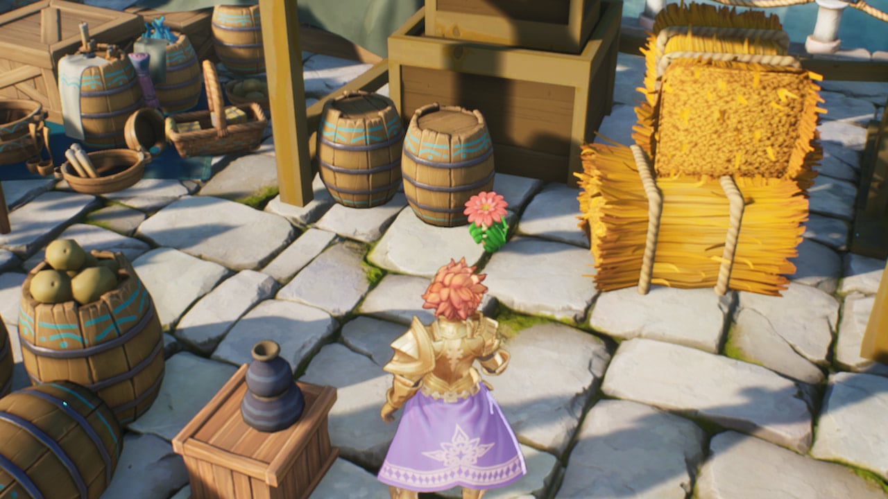 All Lil Cactus locations in Visions of Mana