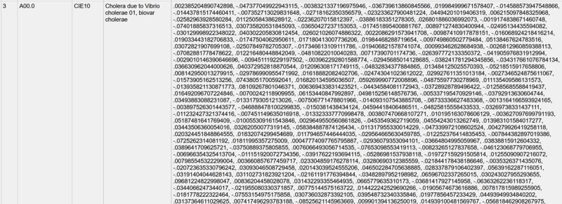 d[IA]gnosis: Vectorizing Diagnostics with Embedded Python and LLM Models