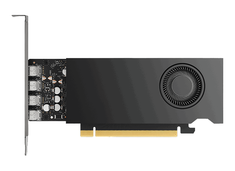 Nvidia RTX 2000E ADA single-slot desktop workstation card quietly introduced as energy efficient AI processor