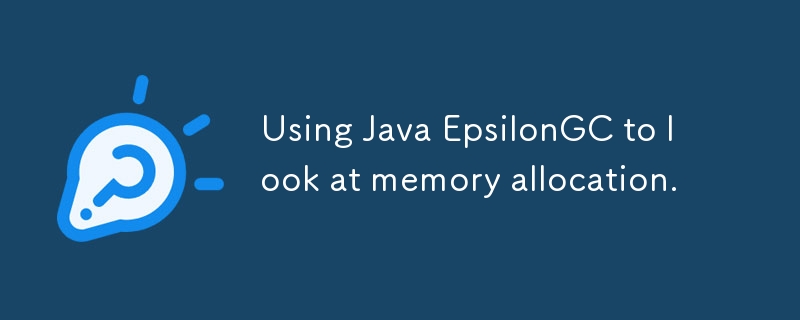 Using Java EpsilonGC to look at memory allocation.