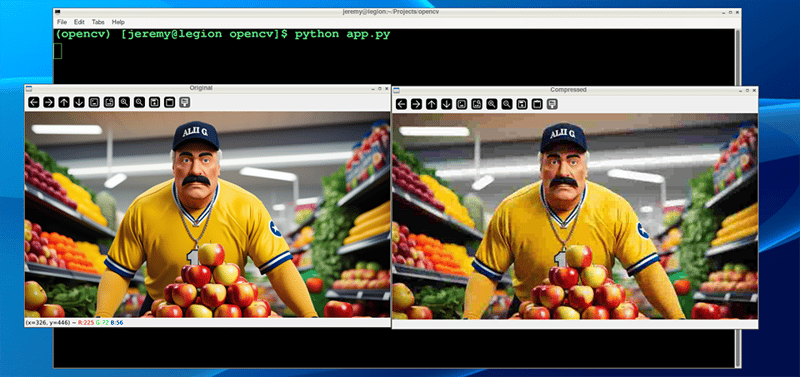 The Complete Guide to Image Compression with OpenCV