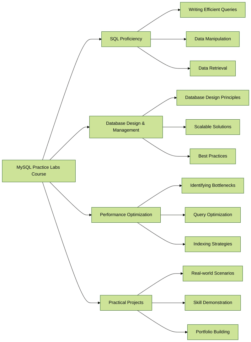 Unlock Your MySQL Mastery: The MySQL Practice Labs Course