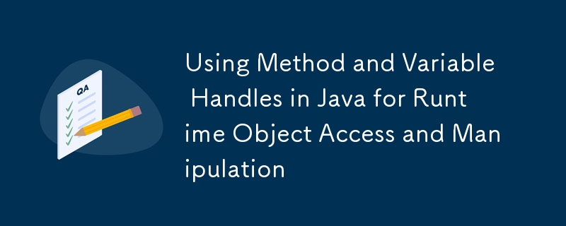 Using Method and Variable Handles in Java for Runtime Object Access and Manipulation