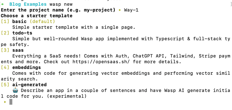 Wasp: The JavaScript Answer to Django for Web Development