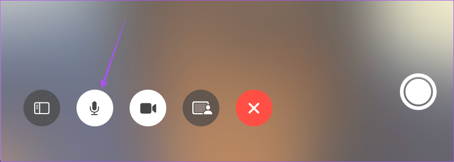 How to Mute Yourself or Others on FaceTime