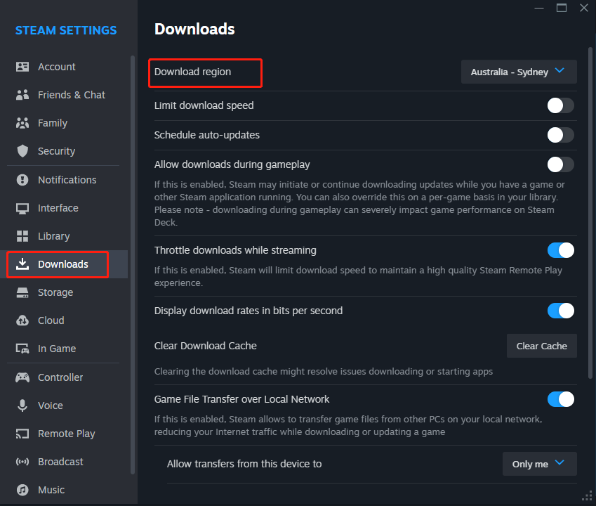 Fixing Steam Error No Download Source? All You Need to Know