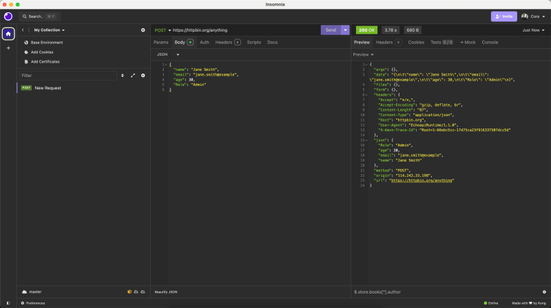 EchoAPI vs Insomnia: A Comprehensive Comparison with Practical Examples