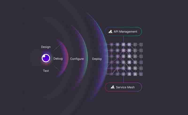 EchoAPI vs Insomnia: A Comprehensive Comparison with Practical Examples