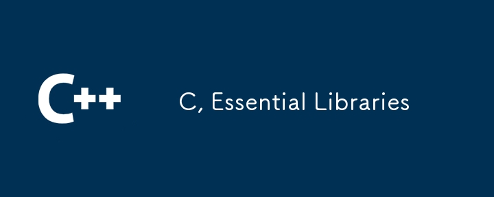 C, Essential Libraries