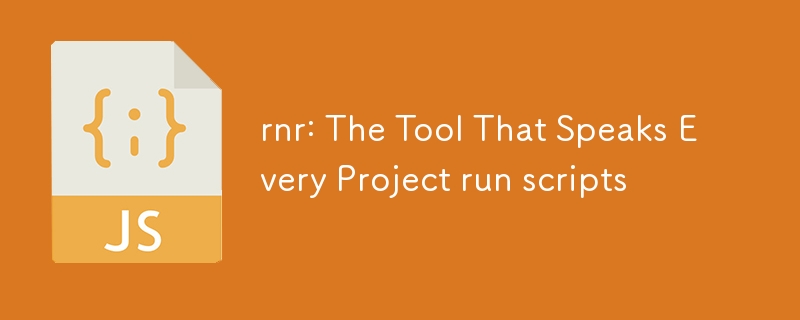 rnr: The Tool That Speaks Every Project run scripts