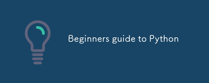 Beginners guide to Python