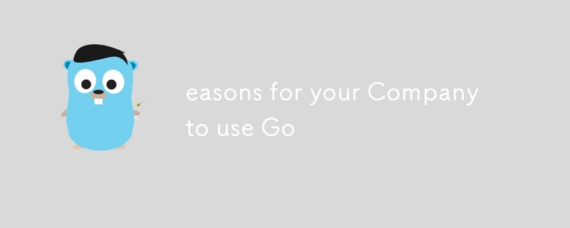 easons for your Company to use Go