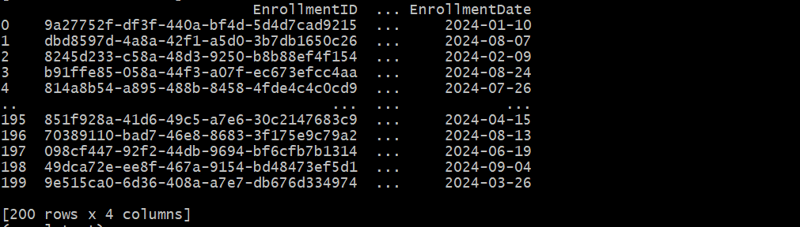 Using faker and pandas Python Libraries to Create Synthetic Data for Testing