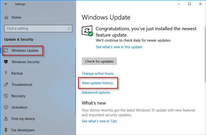 Photos App Not Working after Windows 10 Update, How to Fix