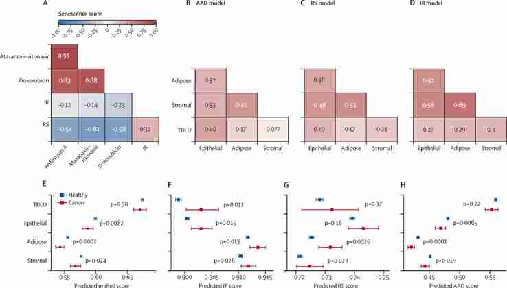 New groundbreaking AI deep learning model is nearly five times better at predicting breast cancer risk than traditional ones