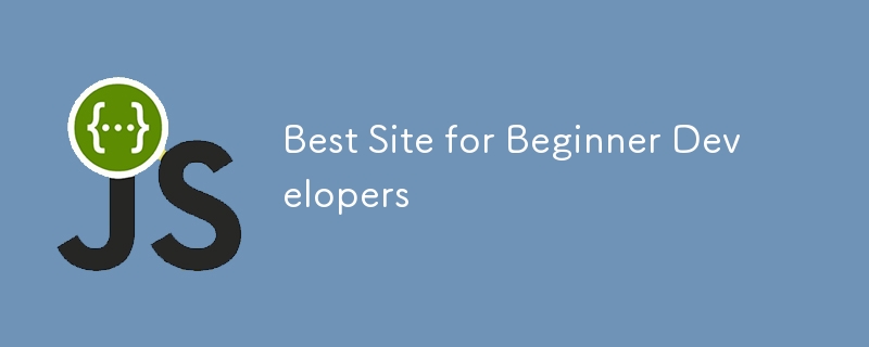 Best Site for Beginner Developers