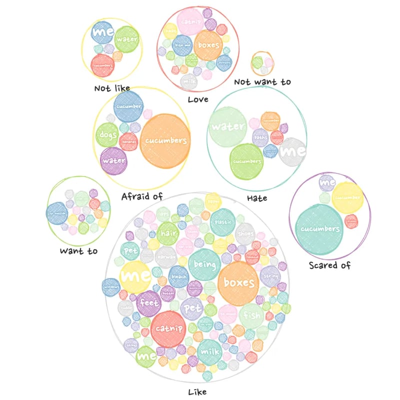 Visualize the preferences of cats