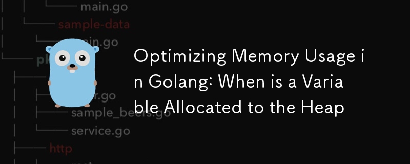 Optimizing Memory Usage in Golang: When is a Variable Allocated to the Heap