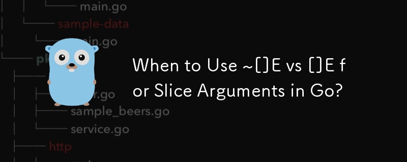 When to Use ~[]E vs []E for Slice Arguments in Go?