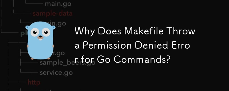 Why Does Makefile Throw a Permission Denied Error for Go Commands?