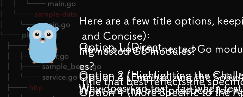 Here are a few title options, keeping in mind the question format and the article\'s focus on testing nested Go modules:

Option 1 (Direct and Concise): 
How do you test nested Go modules effectively?

Option 2 (Highlighting the Challenge): 
Why does `go 