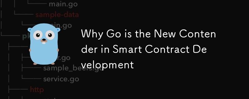 Why Go is the New Contender in Smart Contract Development