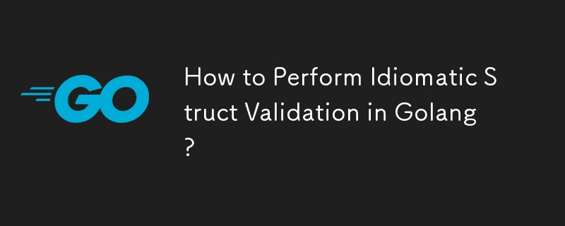 How to Perform Idiomatic Struct Validation in Golang? 
