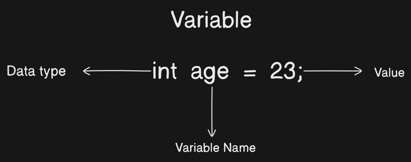 Java : Understanding Variables, Data Types, and Input/Output